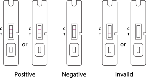 RESULT-INTERPRETATION@2x-504x271